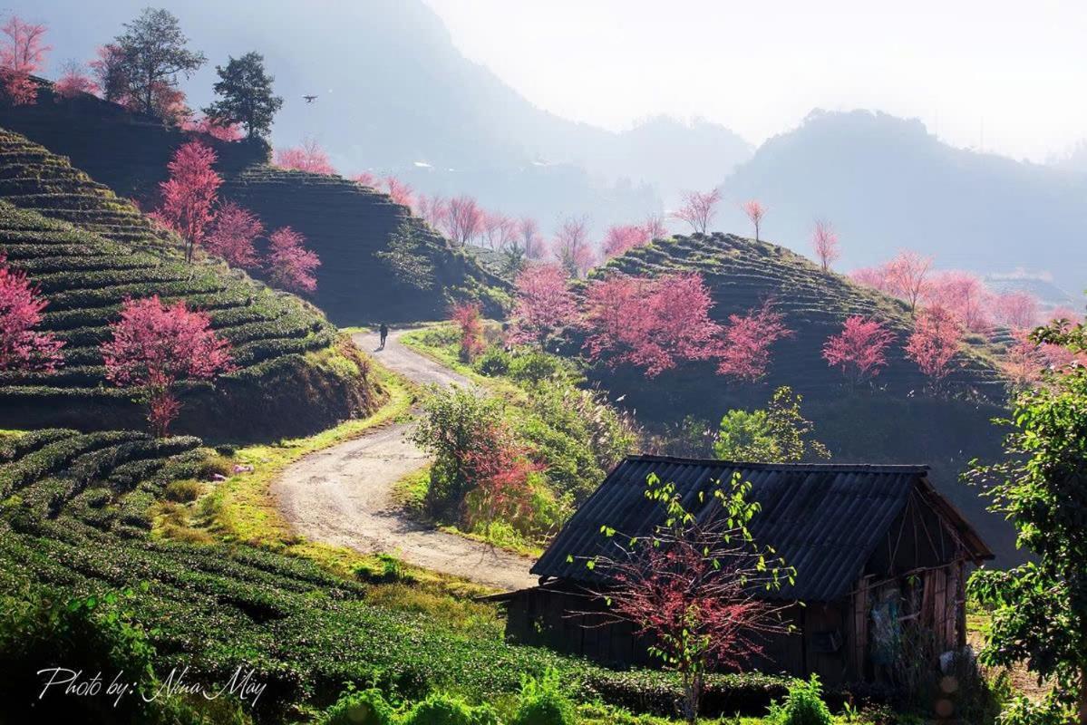 Ha Giang Hotel Sapa Εξωτερικό φωτογραφία